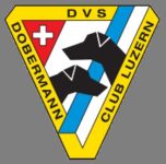 DVS OG Luzern